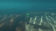 I need..... a taylor.... (Image via Minecraft)